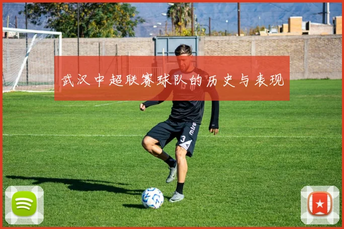 武汉中超联赛球队的历史与表现