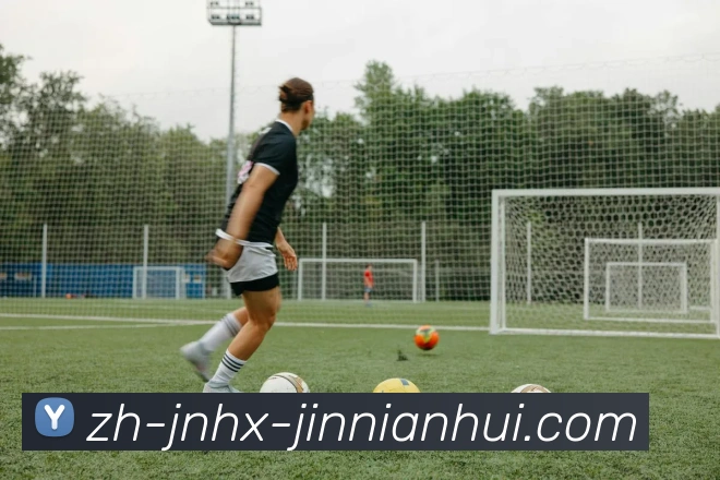 金年会体育平台生态图